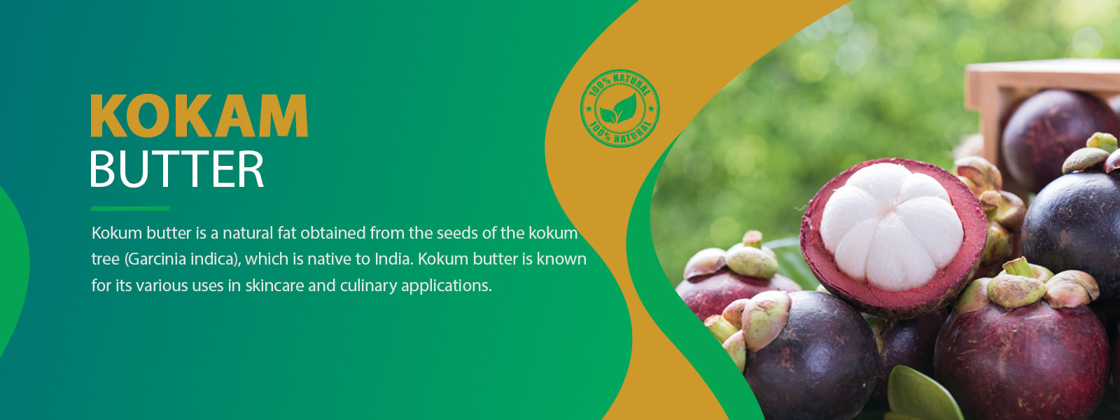 Kokum 